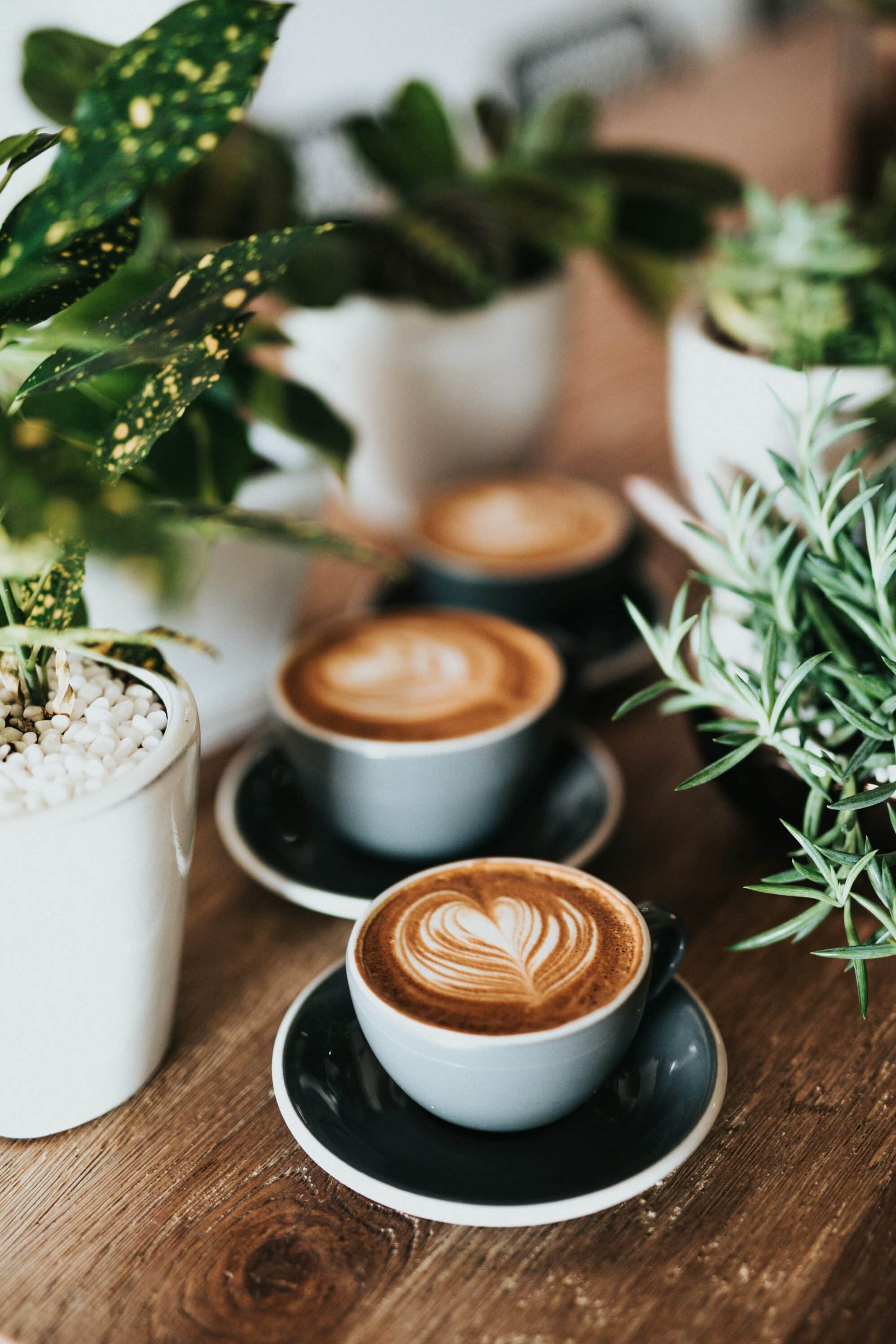cups of coffee on a table full of plants