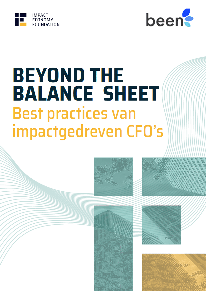Intro pagina rapport Beyond the Balance Sheet