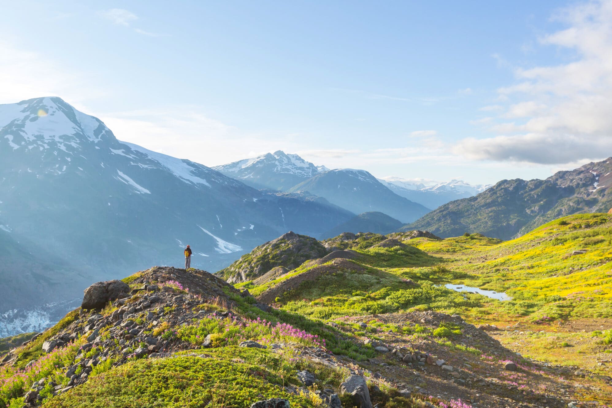Picturesque mountain view in the Canadian Rockies in summer season